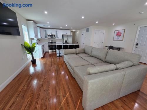 19 Ellis Street, Apt 3 - photo 19